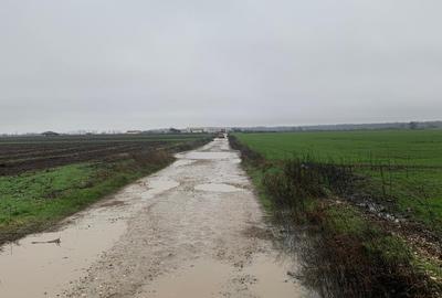 DJ200  Dascalu  Vanzare Suprafata Compacta 4,4 HA Teren Intravilan Mixt - 8