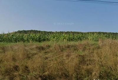 Teren de 3600 mp, în Rădaia - 1