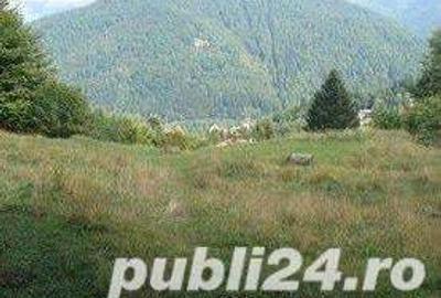 Teren de 3300 mp, în Predeal - 1