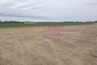 Teren Construcții intravilan de 7567 mp, în Sud - 12