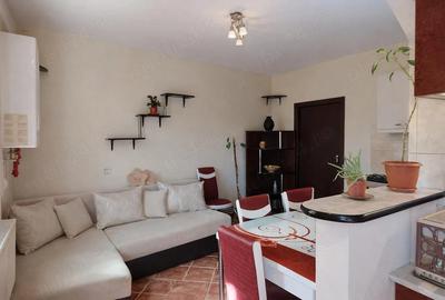 Garsonieră semidecomandată în Gruia - 5