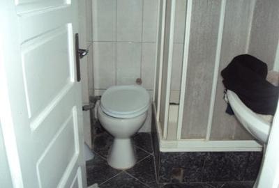 Inchiriere casa D+P+M, mobilata, utilata, Corunca - 11