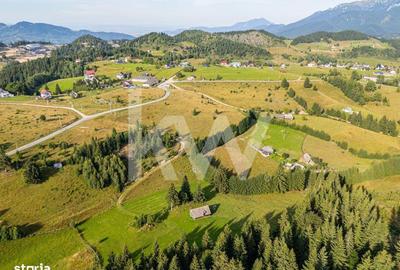 Teren de 18044 mp, în Dâmbovicioara - 4