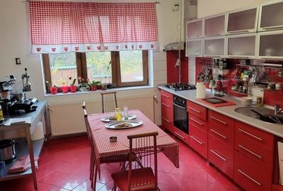 VAND   -      SCHIMB   VILA IN CENTRUL CRAIOVEI - 9