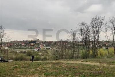 Teren de 2900 mp, în Paleu - 3
