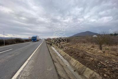 Teren Construcții intravilan de 12719 mp, în Crainimăt - 2