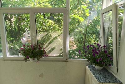Apartament cu 2 camere în Podu Roș - 4