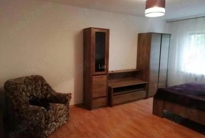 1 Camera zona Podul de Fier - 6