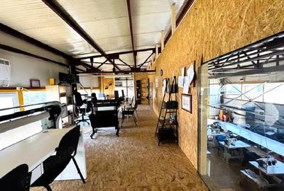 Hale in Slatina,str General Aurel Aldea si 1433 mp teren - 18