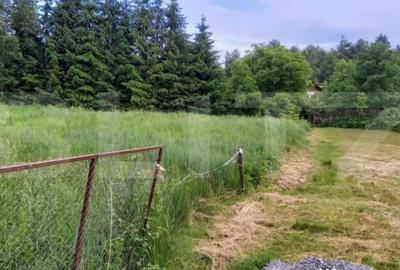 Teren de 1755 mp, în Făget