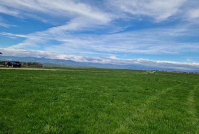 Teren extravilan 25.254 mp in zona Preajba - 10