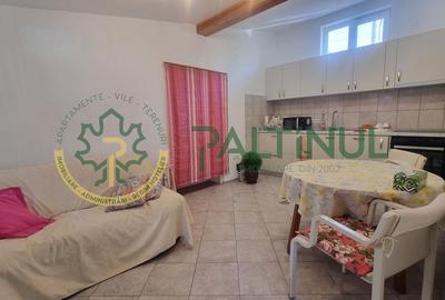 Casă spațioasă în Turnișor - teren 584 mp, apartament secundar, terasă - 11