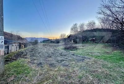 Teren de 4600 mp, în Central - 2