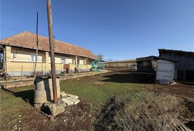Casa cu teren de 5400 mp intravilan de vanzare, loc. Dileu Vechi - 3