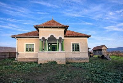 Casă cu Teren 4443 Mp în Pleșoiu (Nicolae Bălcescu) - 15