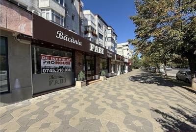 Stefan cel Mare - spatiu comercial stradal 120mp - 18