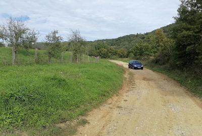 Teren de 30000 mp, în Central - 5
