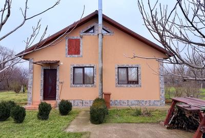 Casă individuală cu 3 camere cu Teren 4858 Mp în Silistraru - 3