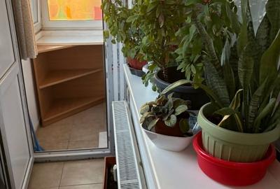 Garsonieră decomandată, mobilată în Basarabia - 2