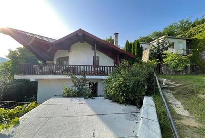 Vila deosebita, 2 corpuri P+M si P+1E, Margineni-Bacau - 3