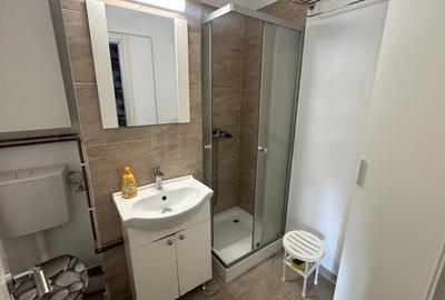 Apartament cu 1 camere decomandat, mobilat în P-ța Victoriei - 9