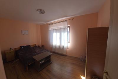 Apartament cu 2 camere semidecomandat, mobilat în Tilișca - 3