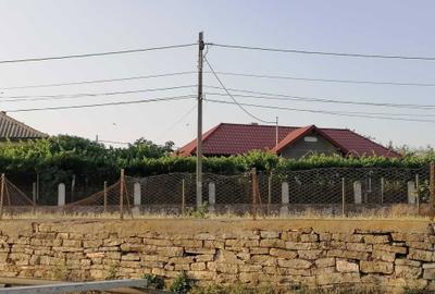 Casă cu 4 camere cu Teren 3046 Mp în Zebil - 5