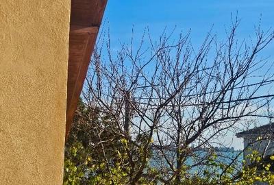 Vila de vanzare P+1 vedere spre lac. - 7