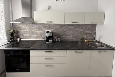 Apartament cu 2 camere semidecomandat, mobilat în Moșilor - 2