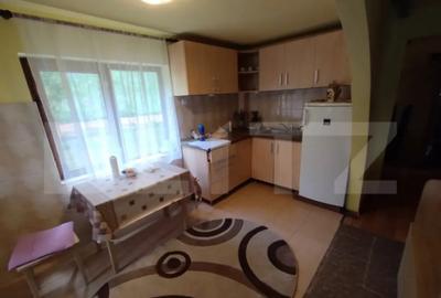 Casă cu 3 camere cu Teren 25000 Mp în Năsăud - 4