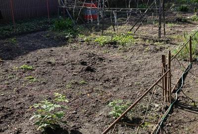 Casă cu 4 camere în Reghin - 3