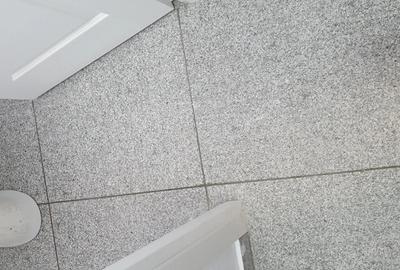 Spatiu Comercial Camil Ressu 62 - 3