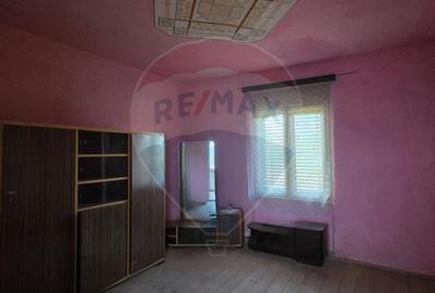 Casa de vanzare in Graniceri aproape de Arad - 26