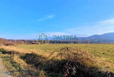 Teren intravilan, 1000 mp cu PUZ - locatie deosebita, Sibiu - Valea Avrigului - 3