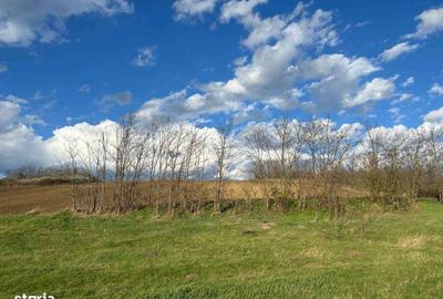 Spațiu comercial, în Rediu - 3