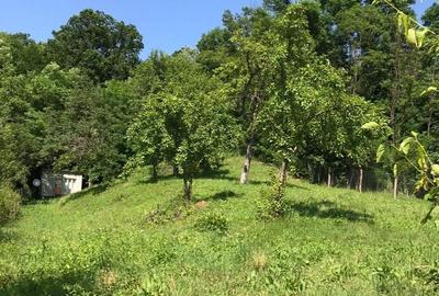 Teren de 1000 mp, în Băbana - 3