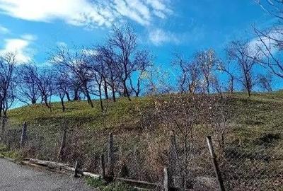 Teren cota parte 1/2, Sat Vistieru, ID: R2809860 - 11