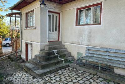 De vanzare casa cu teren generos in sat Pe?ti?u Mare - 4