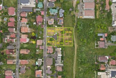 Teren Construcții intravilan de 3115 mp, în Moșnița Nouă - 1