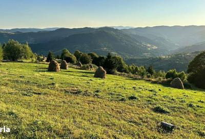 Spațiu comercial, în Horea - 7