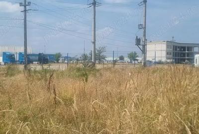 Vand teren intravilan, curti-constructii, drumul Cetului, in spate la Auchan, Bradu - 4