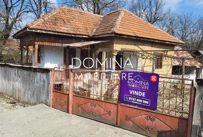 Casă cu 3 camere cu Teren 3623 Mp în Arcani - 2