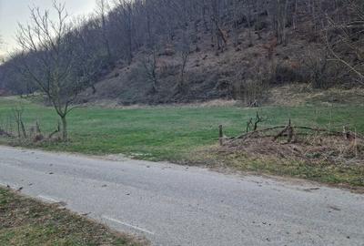 Spațiu comercial, în Hărțăgani - 4