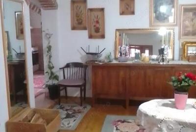 Casă cu 6 camere cu Teren 2027 Mp în Miniș - 7
