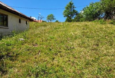 Spațiu comercial, în Bercești - 9