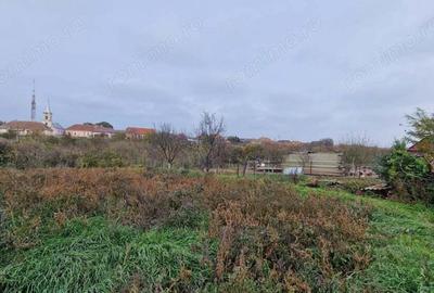 De vanzare casa Carani + teren 2085 mp- 697 - 5