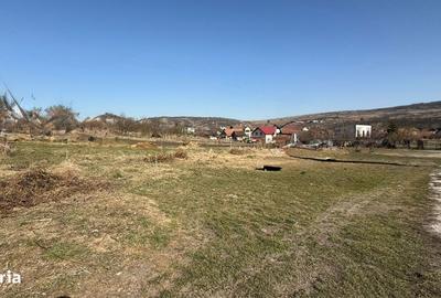 Spațiu comercial, în Chinteni