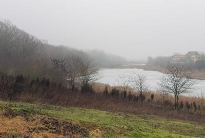 Teren cu deschidere la lac | 50 m Padure | 1000 MP - 4