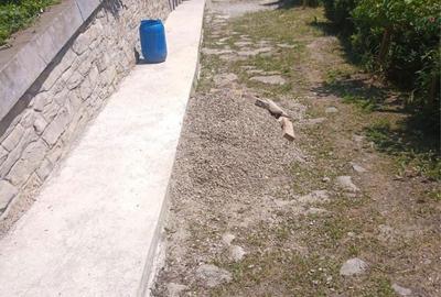 Casă cu 4 camere în Bozioru - 3