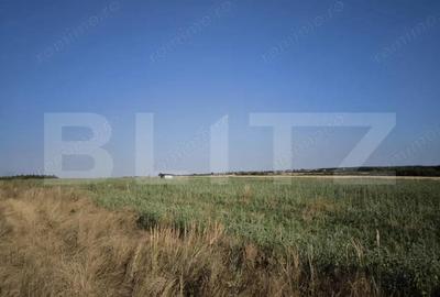 Teren 30.350 mp (600 mp intravilan) ideal investi?ie, Carcea Metro - 2